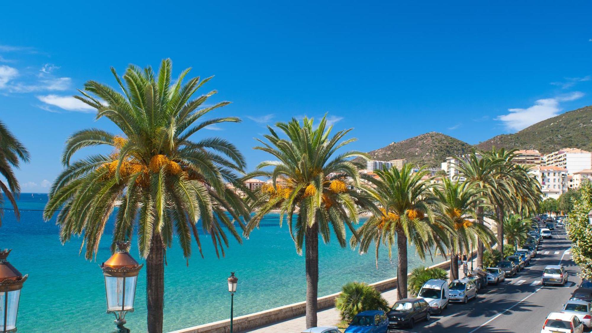 Evasion Corse - T2 Vue Mer, Piscine & Plage 阿雅克肖 外观 照片