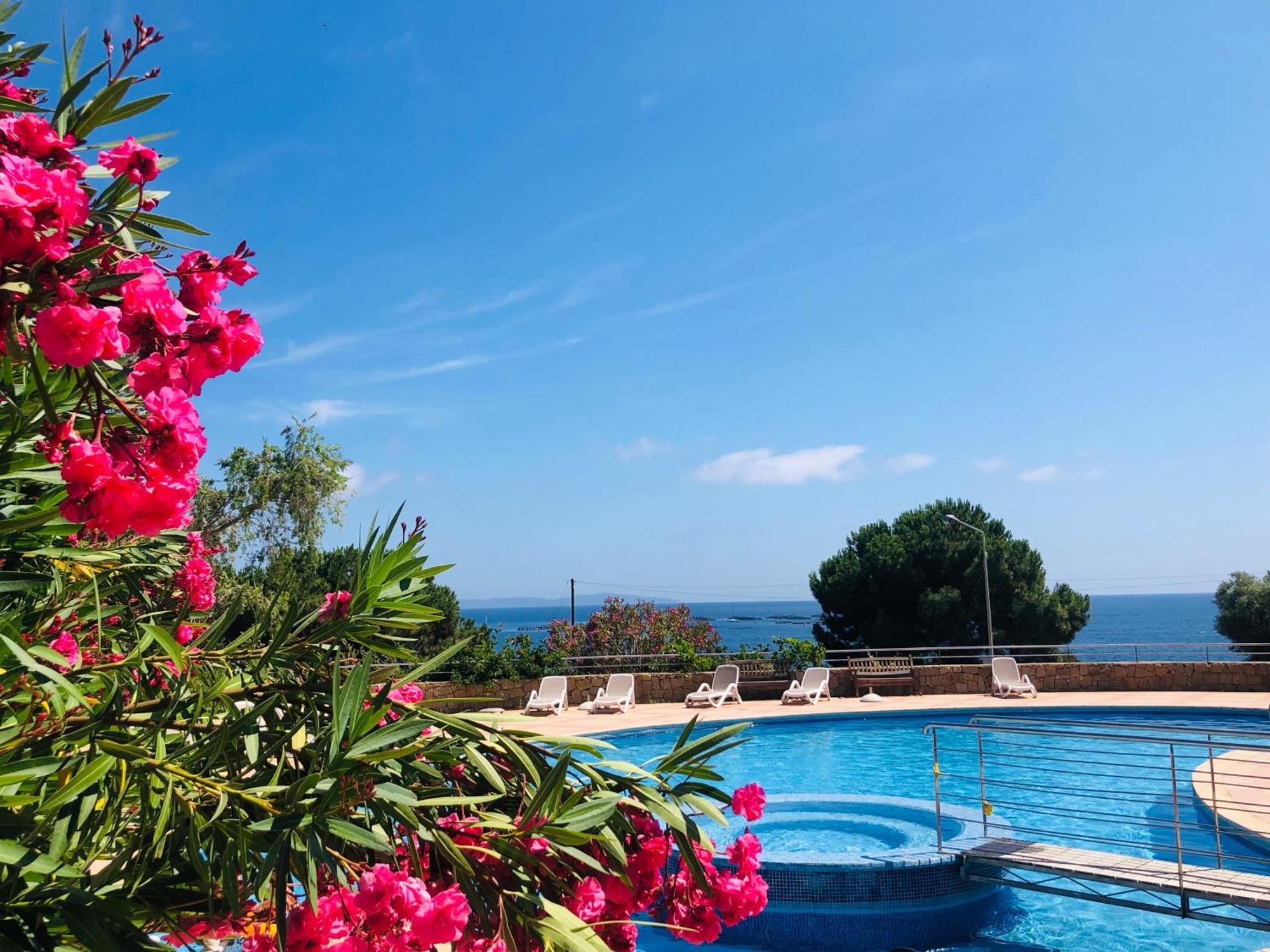 Evasion Corse - T2 Vue Mer, Piscine & Plage 阿雅克肖 外观 照片